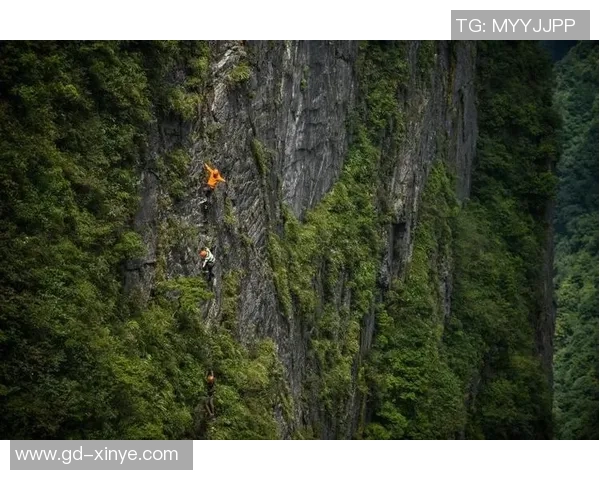 重庆攀岩队反击之路：挑战与收获的深度剖析与思考