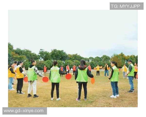 飞盘运动的魅力：西安飞盘队如何通过团队协作实现卓越表现